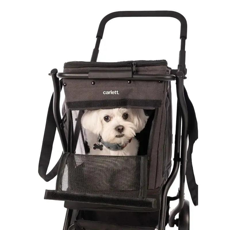 Cube P Haustiertasche