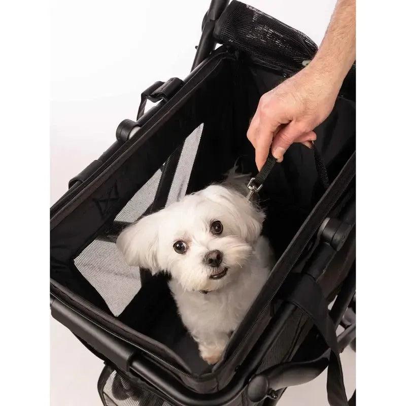 Cube P Haustiertasche